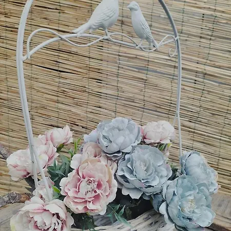 Apartment Shabby *